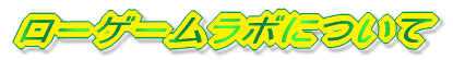 ���[�Q�[�����{�ɂ���